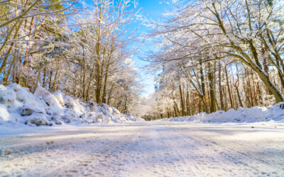 Healthy Holiday Travel Tips