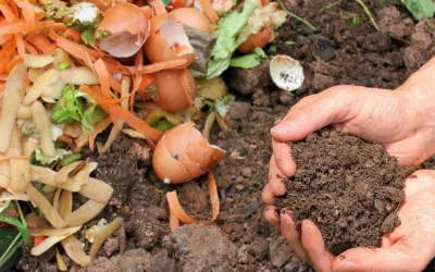 Home Composting: A Guide for Home Gardeners