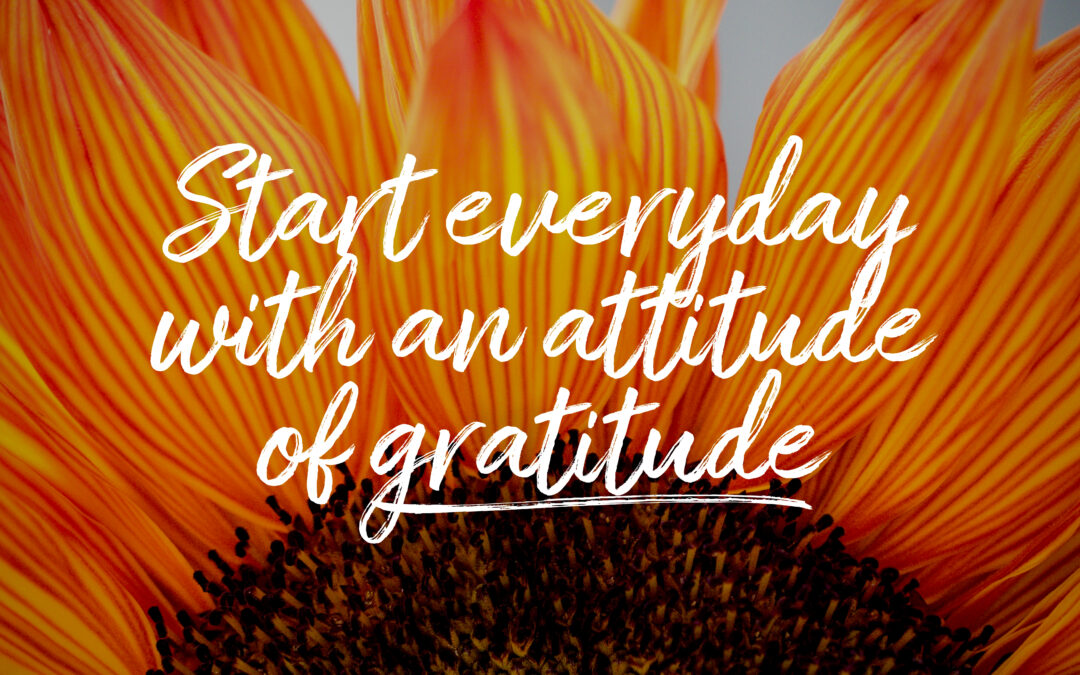 Maintaining an Attitude of Gratitude