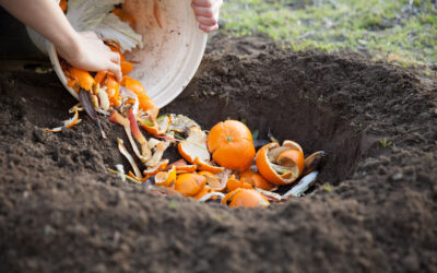 Composting 101