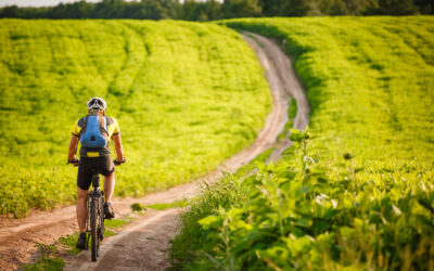 Reducing Your Carbon Footprint