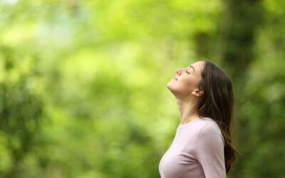 Everyday Tools to Steady Your Mind